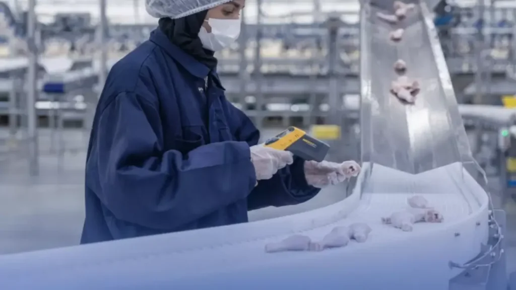 إنجاز تاريخي.. مزارع الدواجن السعودية تحقق إنتاجاً قياسياً يتجاوز مليون طن سنوياً